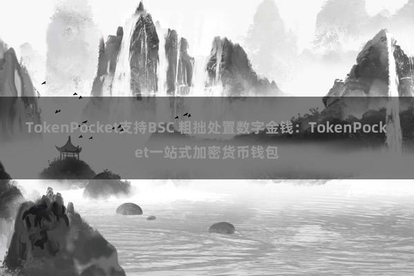 TokenPocket支持BSC 粗拙处置数字金钱：TokenPocket一站式加密货币钱包