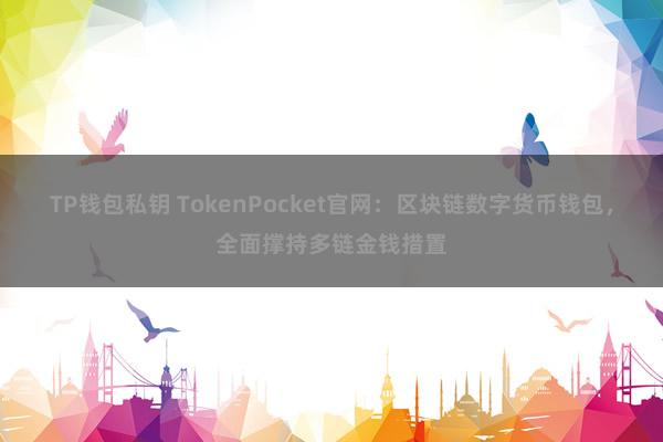 TP钱包私钥 TokenPocket官网：区块链数字货币钱包，全面撑持多链金钱措置